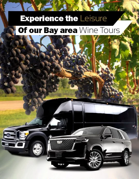 Bay Area wine tours